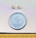 水晶のセラミックピアス