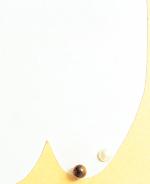 イヤリングとピアスの夢工房アクセサリーズ https://yumeko.jp