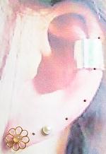 COƃsAX̖H[ANZT[Y https://yumeko.jp